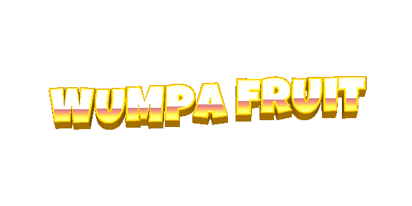 Animated Header