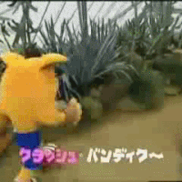 Side GIF 5